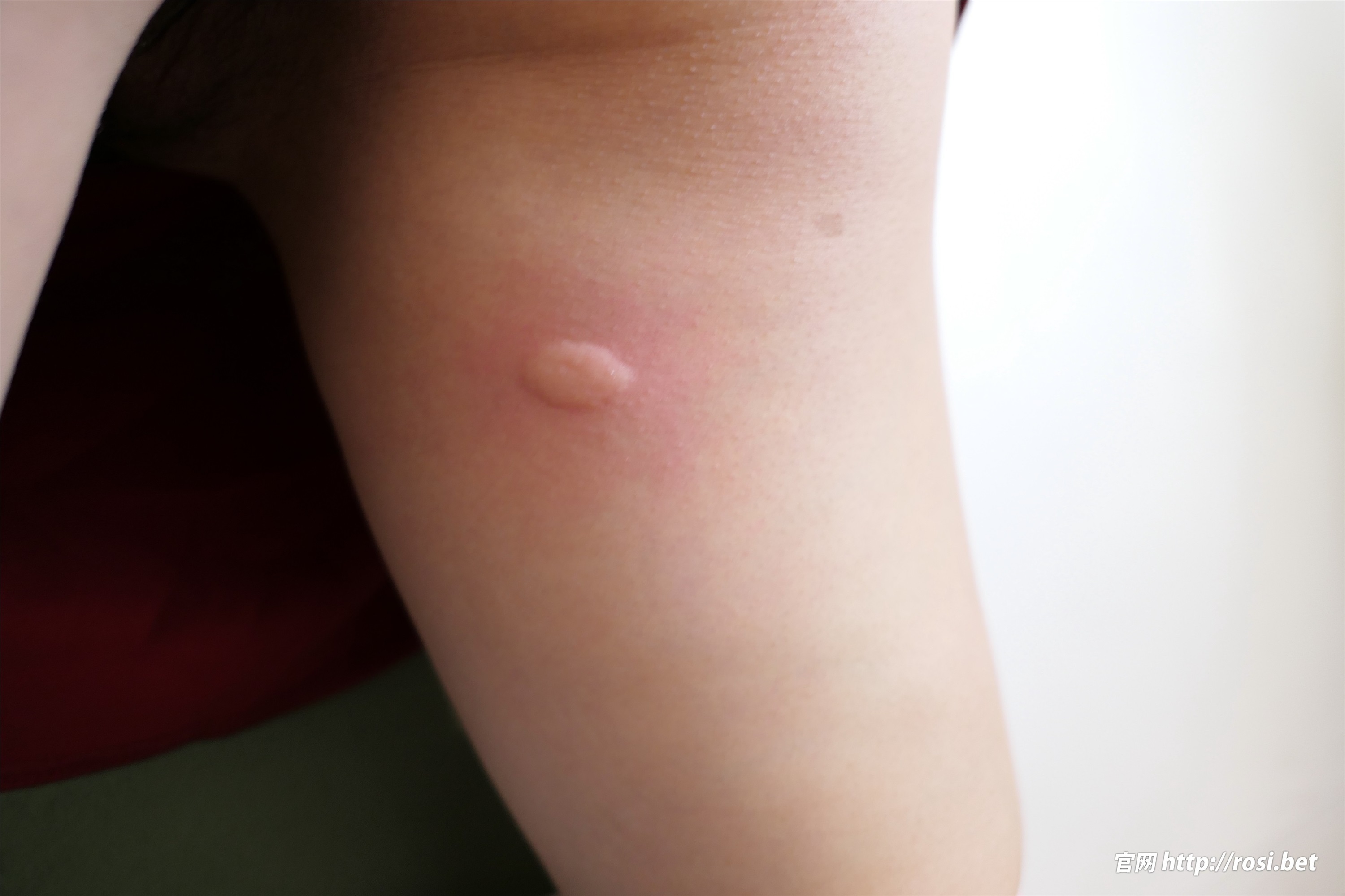 ROSI写真 2024.09.22 NO.4675